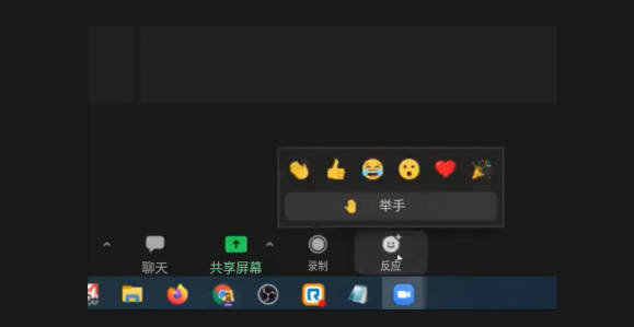 Zoom 举手功能在哪里