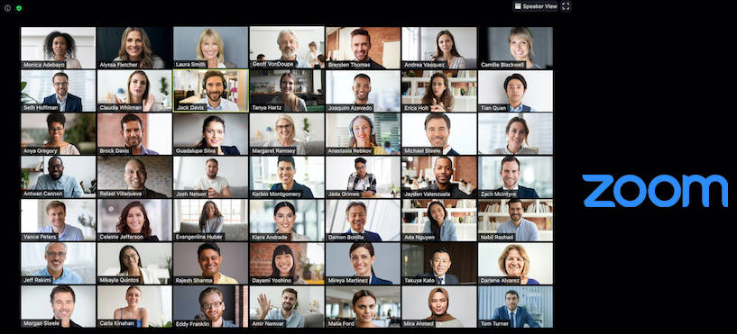 如何让 Zoom 屏幕显示所有参会者